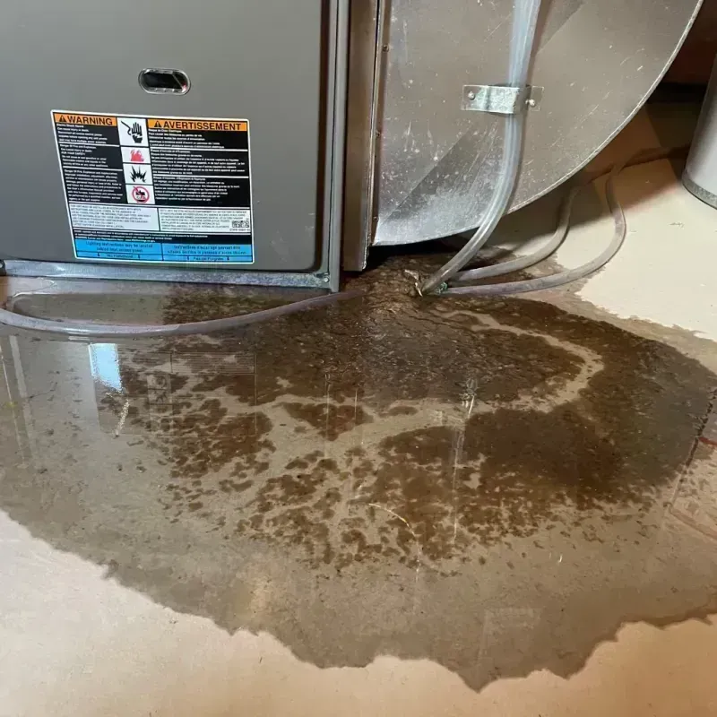 Appliance Leak Cleanup in West Columbia, TX